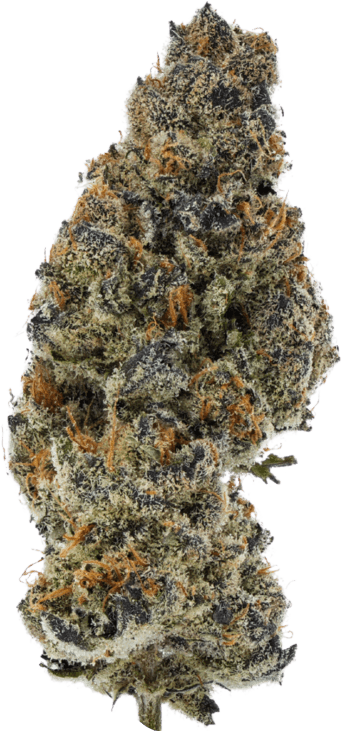 Apple Betty image 1